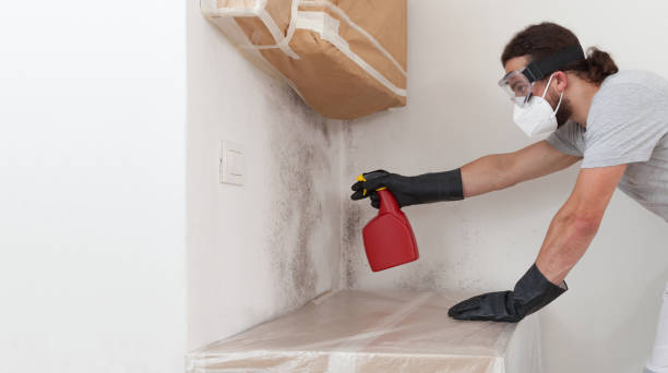 Professional Mold Testing technician working in Islandia, NY
